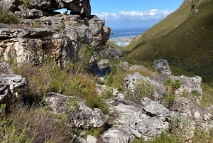 Betty's Bay: guidet fottur i Harold Porter Garden