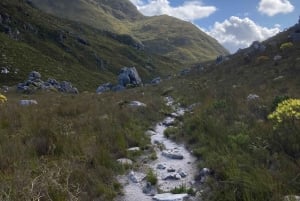 Betty's Bay: guidet fottur i Harold Porter Garden