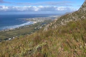 Betty's Bay: guidet fottur i Harold Porter Garden