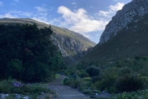 Betty's Bay: guidet fottur i Harold Porter Garden