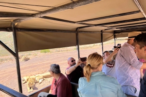 Big-Five Safari Experience Near CapeTown, South Africa