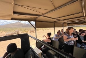 Big-Five Safari Experience lähellä CapeTownia, Etelä-Afrikka