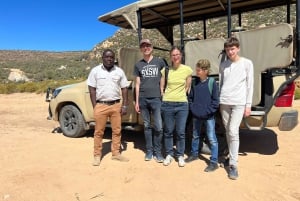 Experiencia de safari con cinco grandes cerca de Ciudad del Cabo (Sudáfrica)
