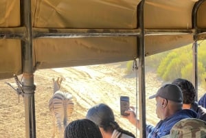 Big-Five Safari Experience lähellä CapeTownia, Etelä-Afrikka