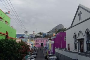 Tour a piedi della comunità Bo-Kaap/Tour del museo