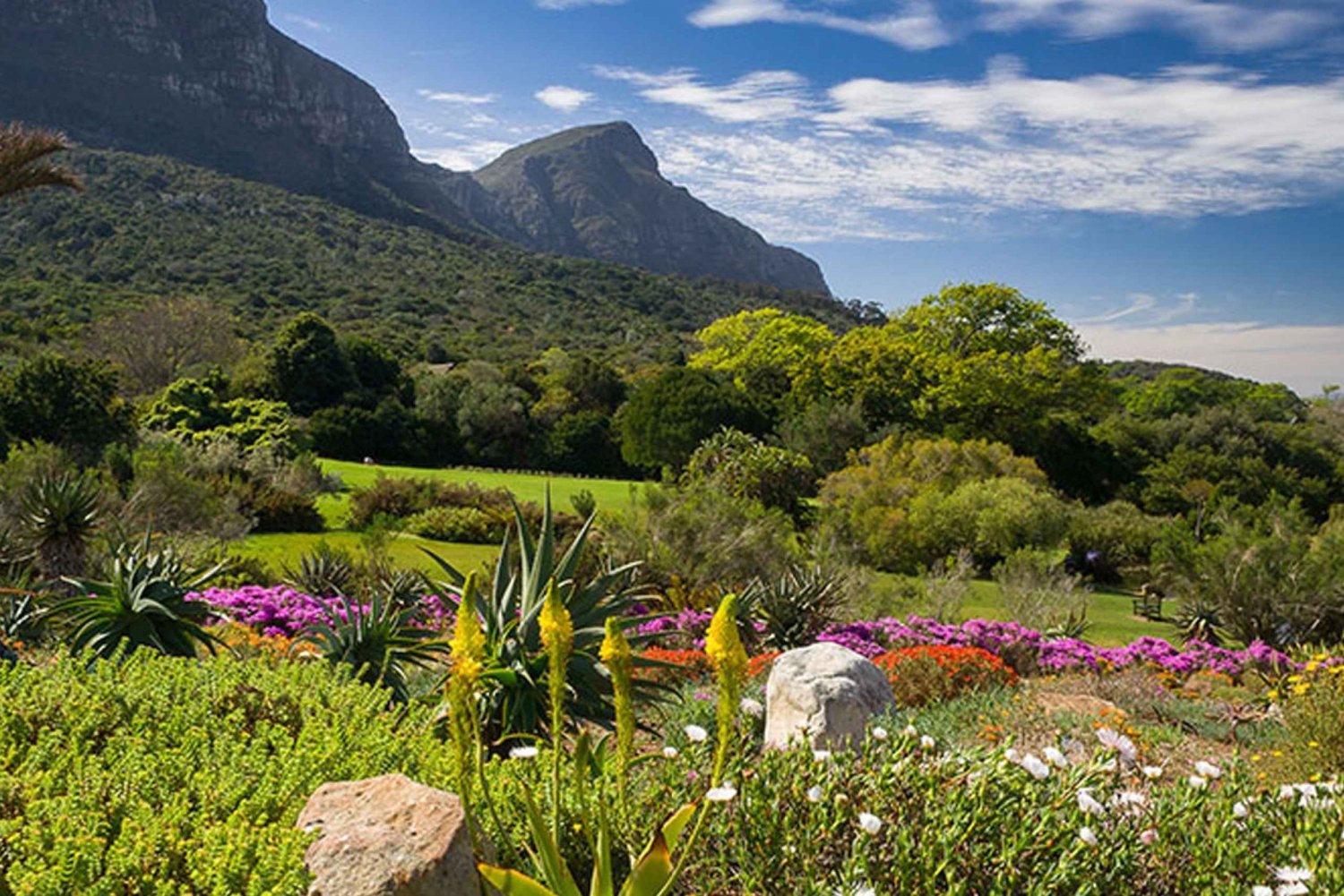 Botanical Garden and Groot Constantia Wineries Private Tour