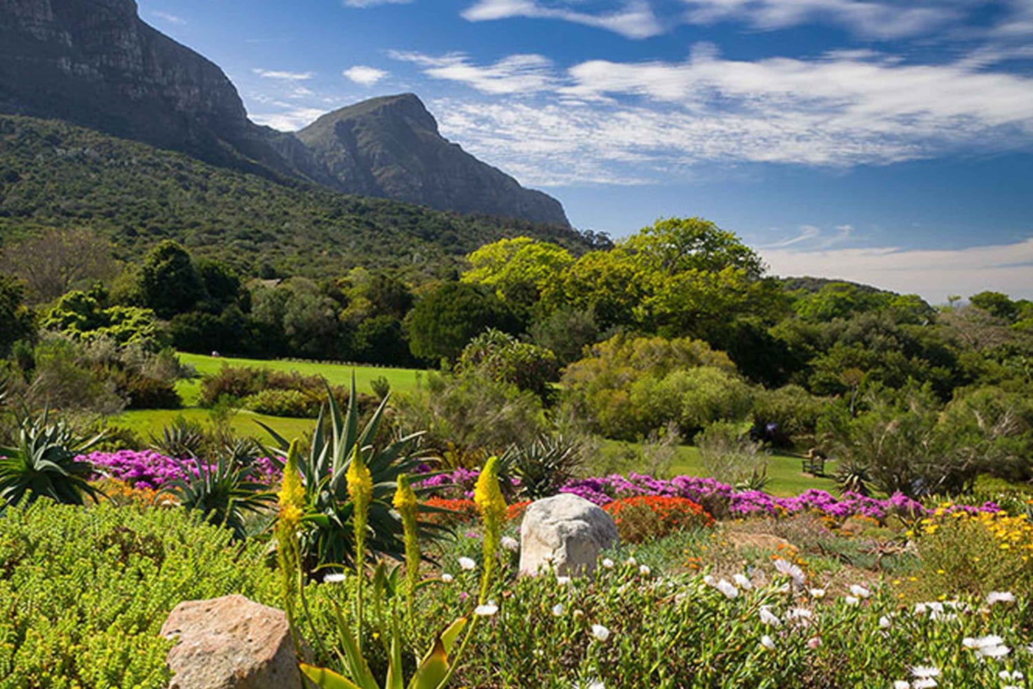 Tour Privado del Jardín Botánico y las Bodegas Groot Constantia