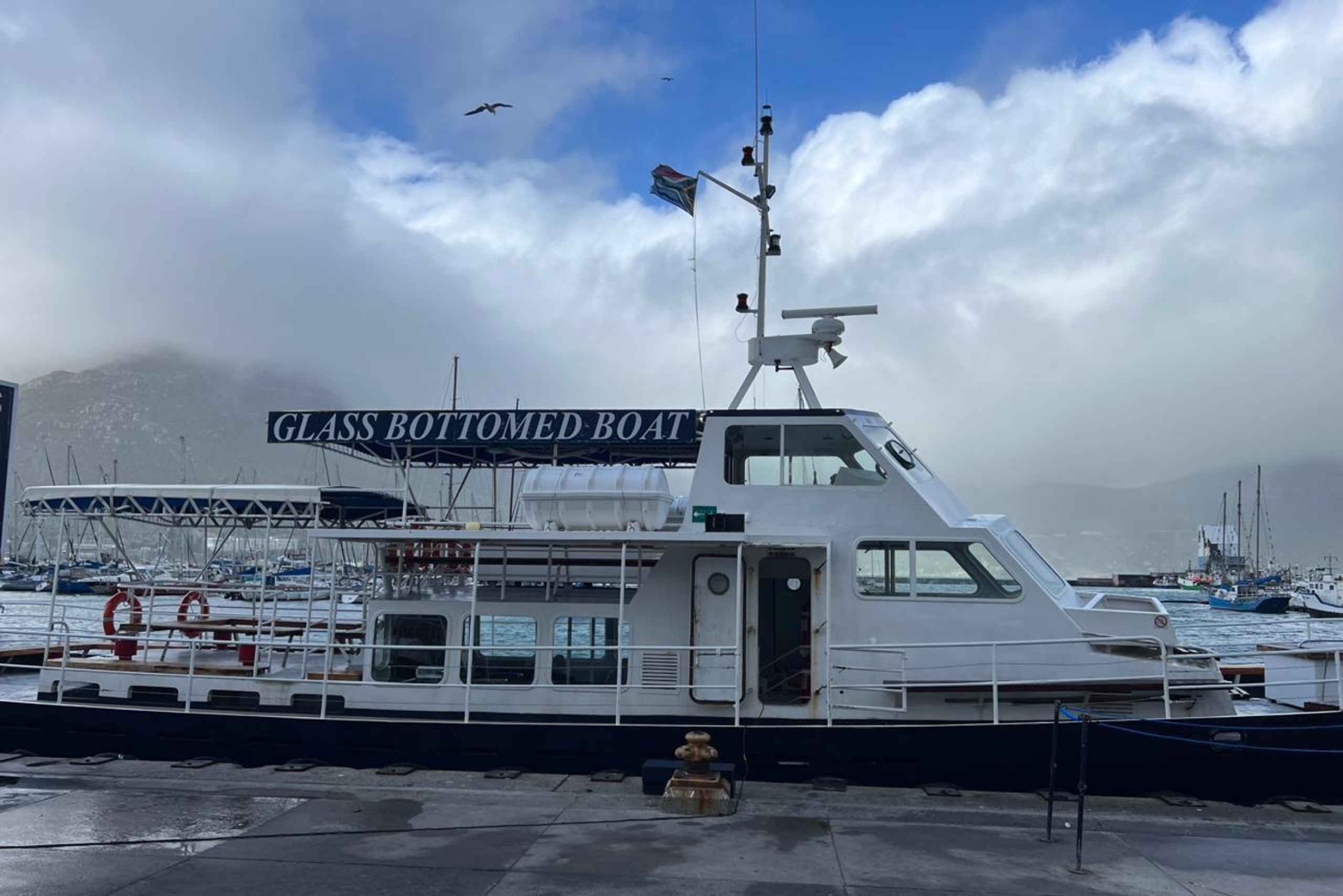 Tour Privado del Jardín Botánico y las Bodegas Groot Constantia