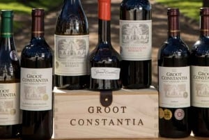 Tour particular pelo Jardim Botânico e pelas vinícolas de Groot Constantia