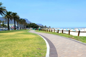 Botanical Garden and Groot Constantia Wineries Private Tour