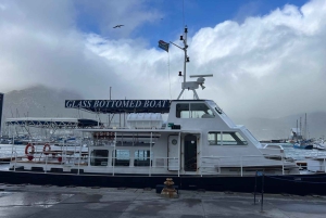 Tour Privado del Jardín Botánico y las Bodegas Groot Constantia
