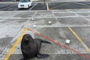 Tour Privado del Jardín Botánico y las Bodegas Groot Constantia