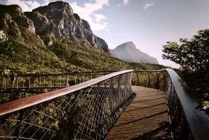 Tour Privado del Jardín Botánico y las Bodegas Groot Constantia