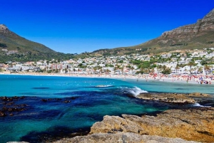 Tour Privado del Jardín Botánico y las Bodegas Groot Constantia