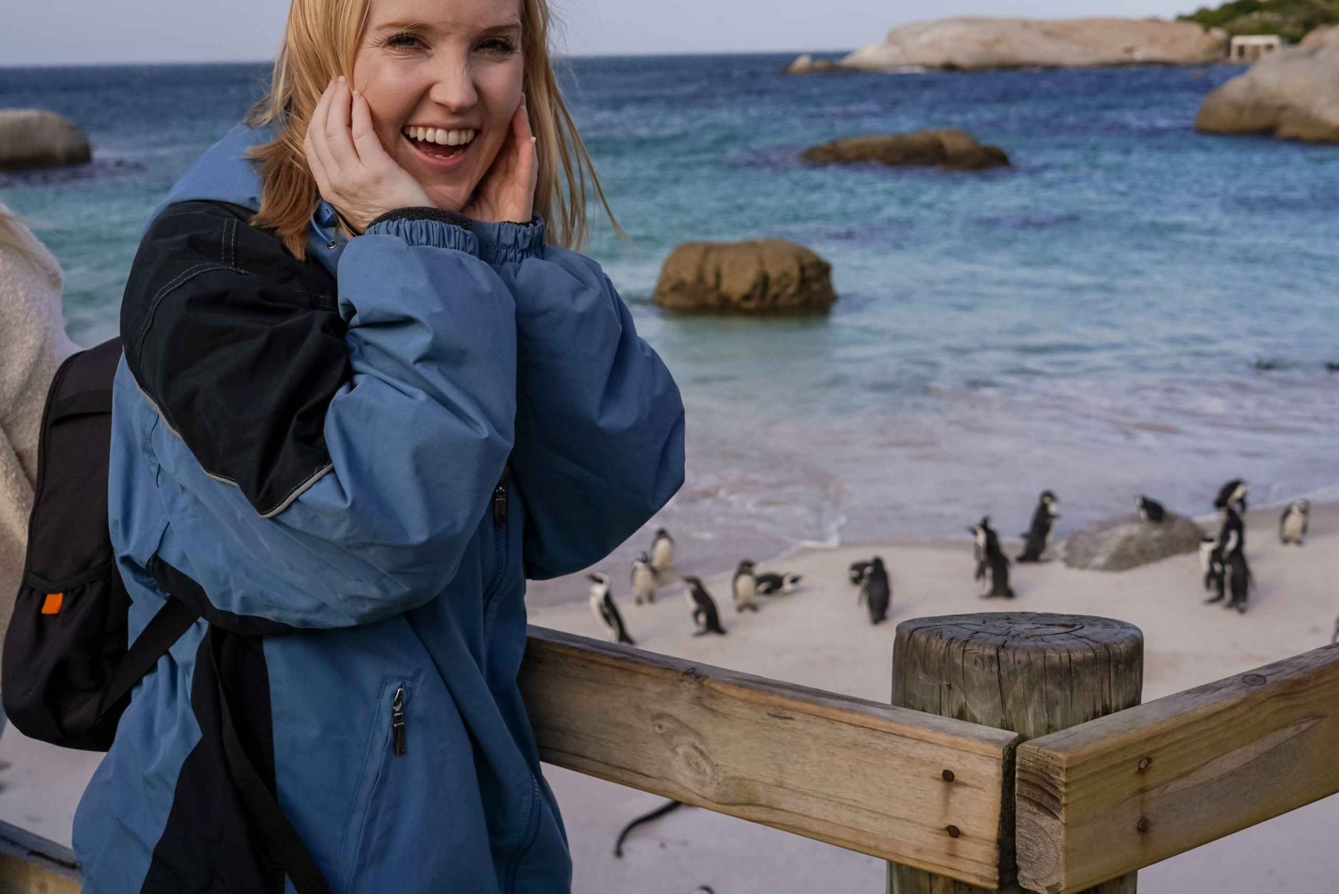 Boulders Beach, Cape Town: Luxury at the Penguin Colony!