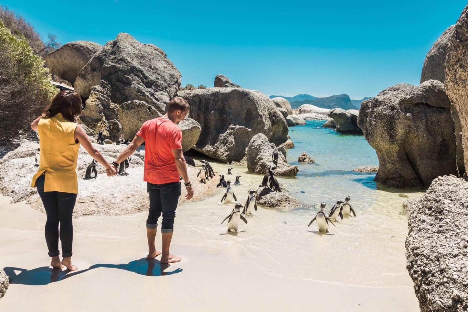 Boulders Beach, Cape Town: Luxury at the Penguin Colony!
