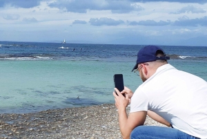 Boulders Beach, Cape Town: Luxury at the Penguin Colony!