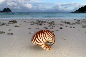 Boulders Beach, Cape Town: Luxury at the Penguin Colony!