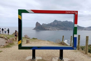 Excursão de 1 dia aos pinguins de Boulders Beach e degustação de vinhos