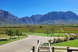 Dagstur till Breedekloof Wine Valley – Cape To Grape Wine Tours