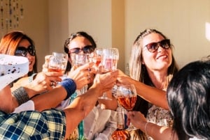 Dagstur till Breedekloof Wine Valley – Cape To Grape Wine Tours