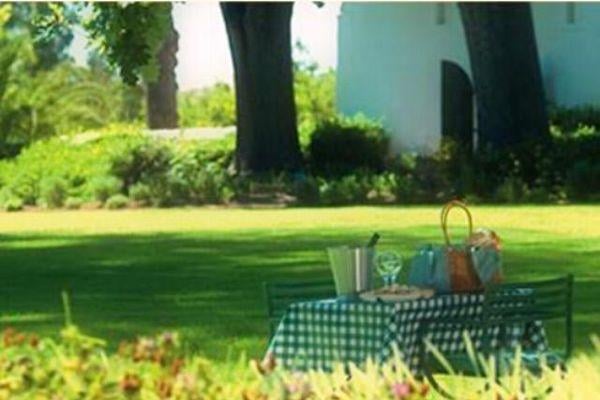 Buitenverwachting Wine Estate