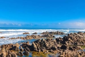 Cape Agulhas heldags privat tur