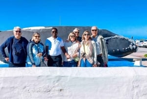 Excursão privada de dia inteiro no Cabo das Agulhas