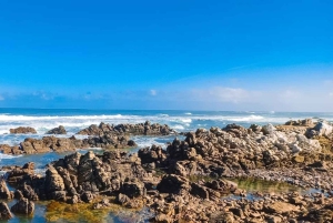 アグラス岬の 1 日プライベート ツアー