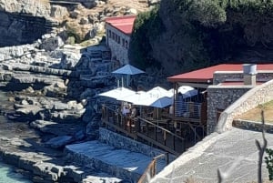 Cabo Agulhas, ballenas de Hermanus y cata de vinos: excursión de un día