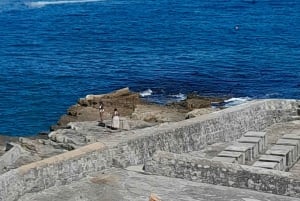 Cabo Agulhas, ballenas de Hermanus y cata de vinos: excursión de un día