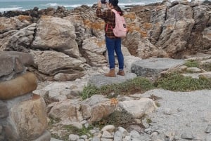 Cabo Agulhas, ballenas de Hermanus y cata de vinos: excursión de un día