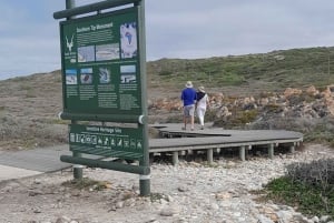 Cabo Agulhas, ballenas de Hermanus y cata de vinos: excursión de un día