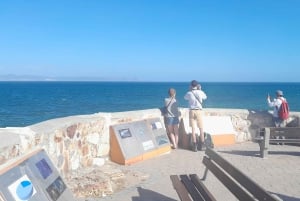 Cabo Agulhas, ballenas de Hermanus y cata de vinos: excursión de un día