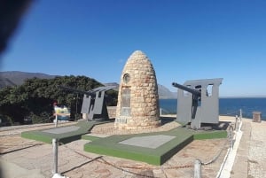 Cabo Agulhas, ballenas de Hermanus y cata de vinos: excursión de un día