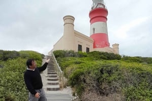 Cabo Agulhas, ballenas de Hermanus y cata de vinos: excursión de un día