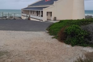 Cabo Agulhas, ballenas de Hermanus y cata de vinos: excursión de un día