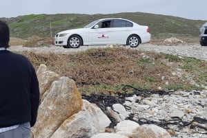 Cabo Agulhas, ballenas de Hermanus y cata de vinos: excursión de un día
