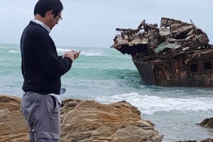 Cabo Agulhas, ballenas de Hermanus y cata de vinos: excursión de un día
