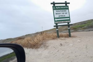 Cabo Agulhas, ballenas de Hermanus y cata de vinos: excursión de un día