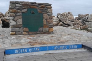 Cabo Agulhas, ballenas de Hermanus y cata de vinos: excursión de un día