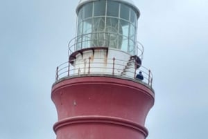 Cabo Agulhas, ballenas de Hermanus y cata de vinos: excursión de un día