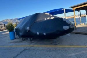 Kap Agulhas, Wale in Hermanus & Weinverkostung – Tagestour