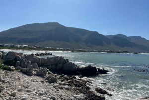 Kap Agulhas, Wale in Hermanus & Weinverkostung – Tagestour