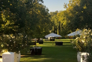 Kap Agulhas, Wale in Hermanus & Weinverkostung – Tagestour