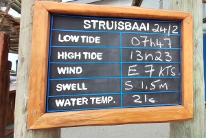 Kap Agulhas, Wale in Hermanus & Weinverkostung – Tagestour