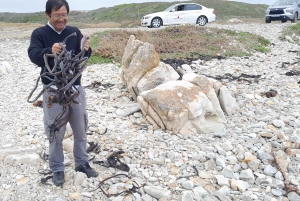 Kap Agulhas, Wale in Hermanus & Weinverkostung – Tagestour