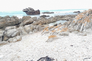 Kap Agulhas, Wale in Hermanus & Weinverkostung – Tagestour