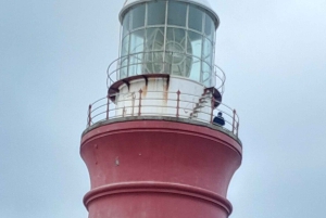 Kap Agulhas, Wale in Hermanus & Weinverkostung – Tagestour