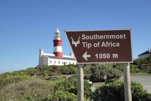 Excursão Cape Agulhas saindo da Cidade do Cabo